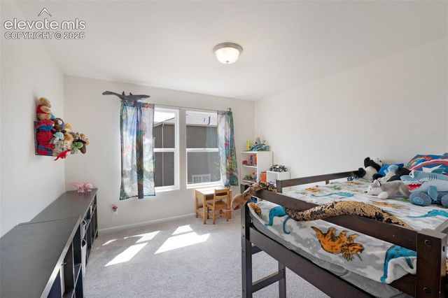 6035 White Wolf Point, Colorado Springs, CO 80925