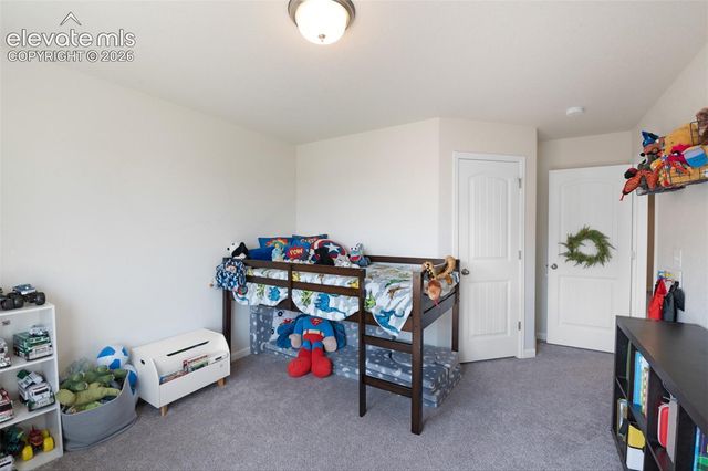 6035 White Wolf Point, Colorado Springs, CO 80925