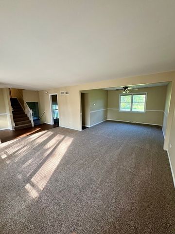 22421 Arquilla Drive, Richton Park, IL 60471