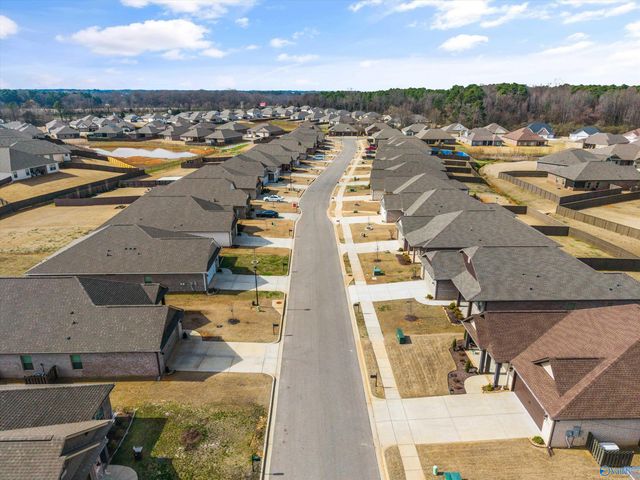 21825 Natures Cove Drive, Athens, AL 35613
