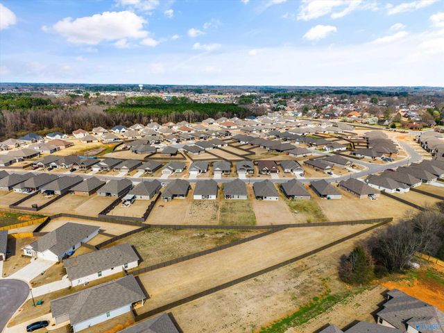 21825 Natures Cove Drive, Athens, AL 35613