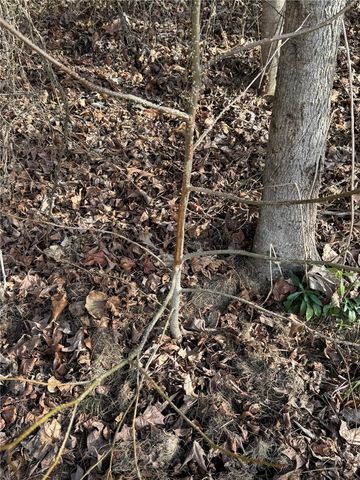 3524 Rushing Road, Dover, AR 72837