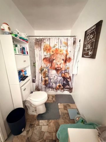 413 Mason St, Hot Springs, AR 71913