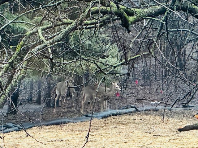 14759 Mcginty Road W, Minnetonka, MN 55391