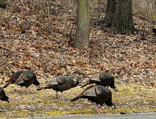 14759 Mcginty Road W, Minnetonka, MN 55391