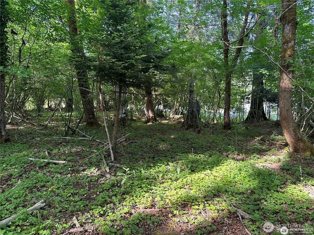 0 W Deegan Road, Shelton, WA 98584