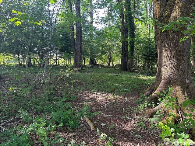 0 W Deegan Road, Shelton, WA 98584