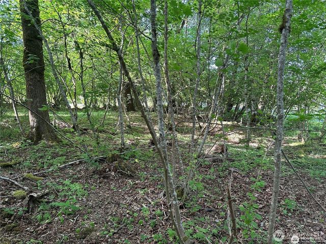 0 W Deegan Road, Shelton, WA 98584