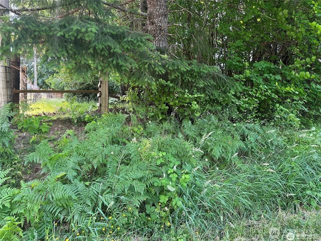 0 W Deegan Road, Shelton, WA 98584