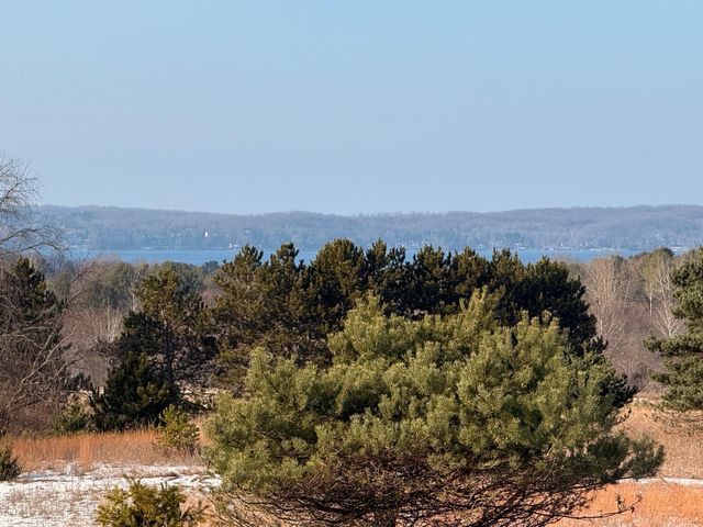 Helena Road, Alden, MI 49612