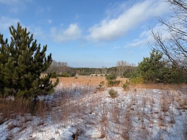 Helena Road, Alden, MI 49612