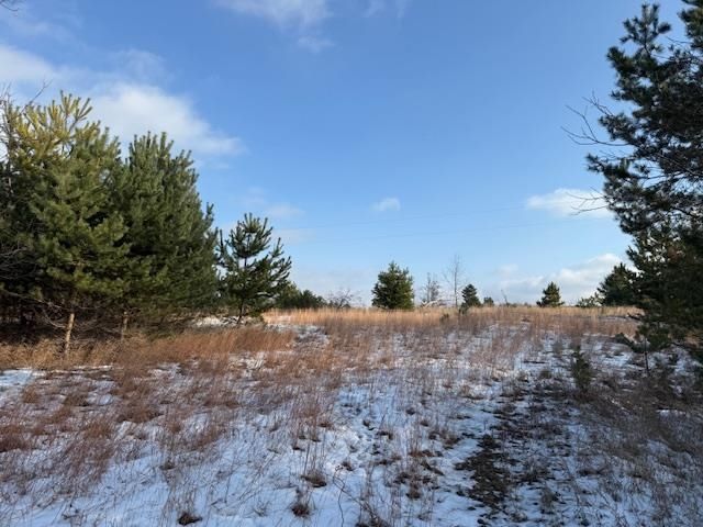 Helena Road, Alden, MI 49612