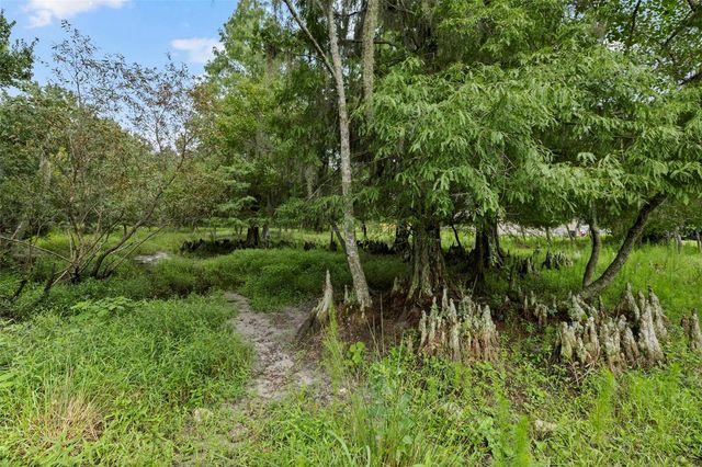6930 MUCK POND ROAD, Seffner, FL 33584