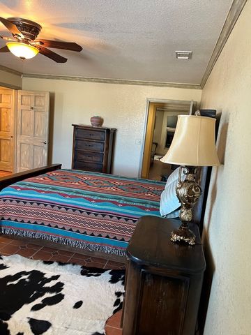 51651 S Hwy 118, Terlingua, TX 79831