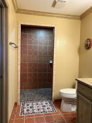 51651 S Hwy 118, Terlingua, TX 79831