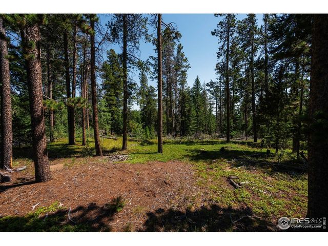 122 Elk Way, Drake, CO 80515
