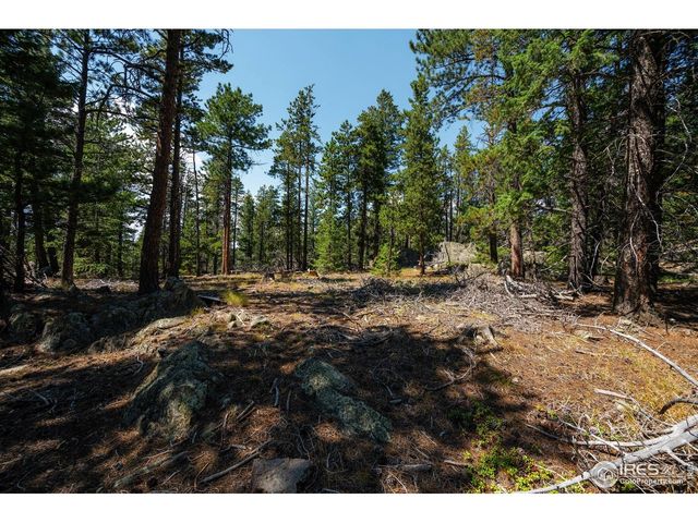 122 Elk Way, Drake, CO 80515