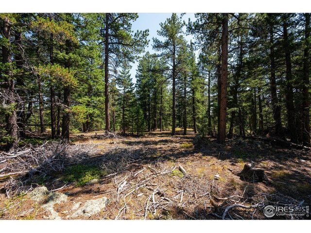 122 Elk Way, Drake, CO 80515