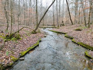 0 Hohenwald HWY, Waynesboro, TN 38485