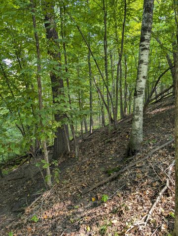 21537 Joplin Street NW, Elk River, MN 55330
