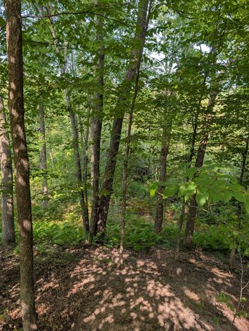 21537 Joplin Street NW, Elk River, MN 55330