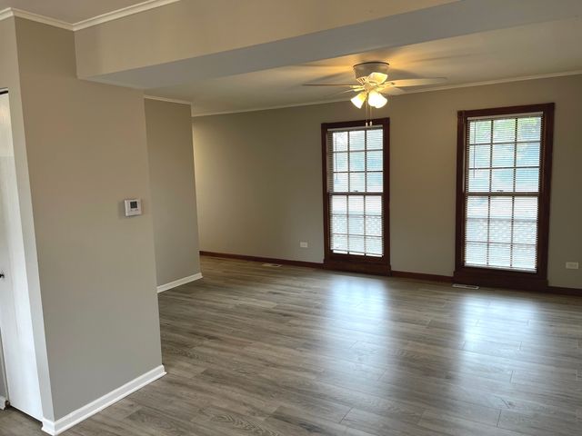 19708 S Skye Drive, Frankfort, IL 60423