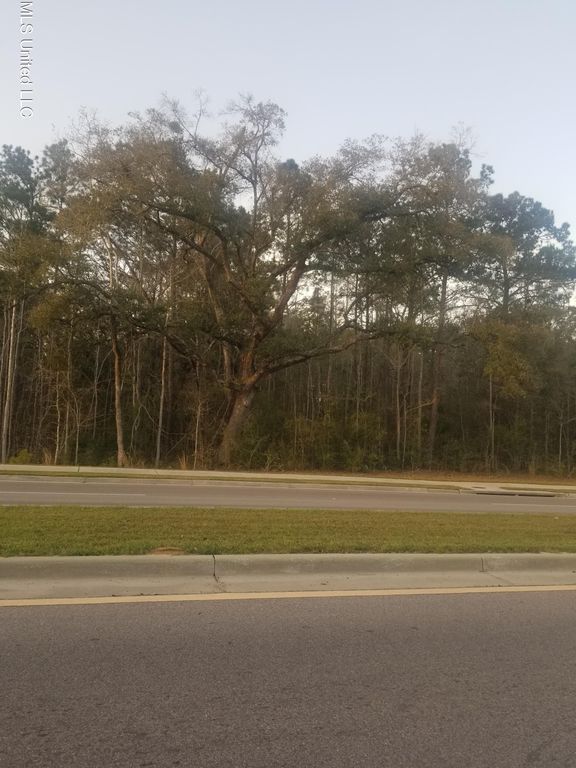Daisy Vestry Road, Biloxi, MS 39532