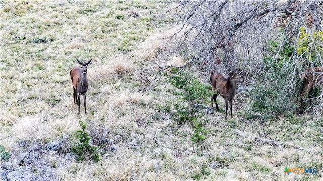 405 Heartleaf Drive, Lampasas, TX 76550