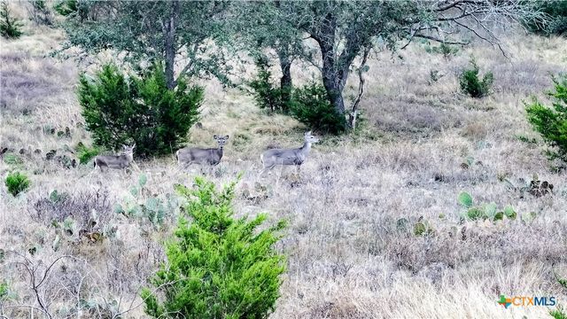 405 Heartleaf Drive, Lampasas, TX 76550