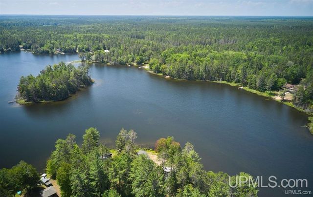 E8805 Lost Lake Road, Wetmore, MI 49895