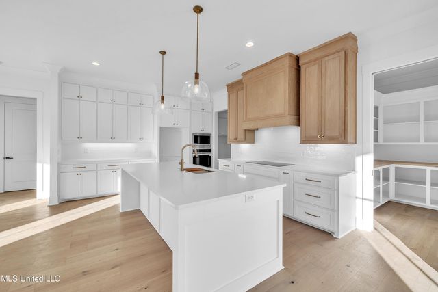 800 Arbor Point, Brandon, MS 39047