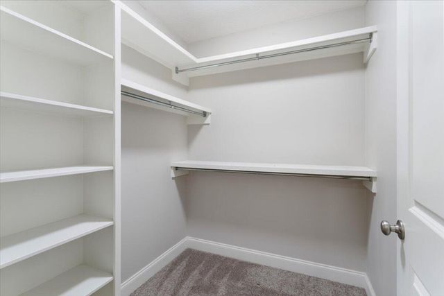 11 Cosmos, Hattiesburg, MS 39402