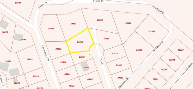 TBD Jill Lane, Livingston, TX 77351