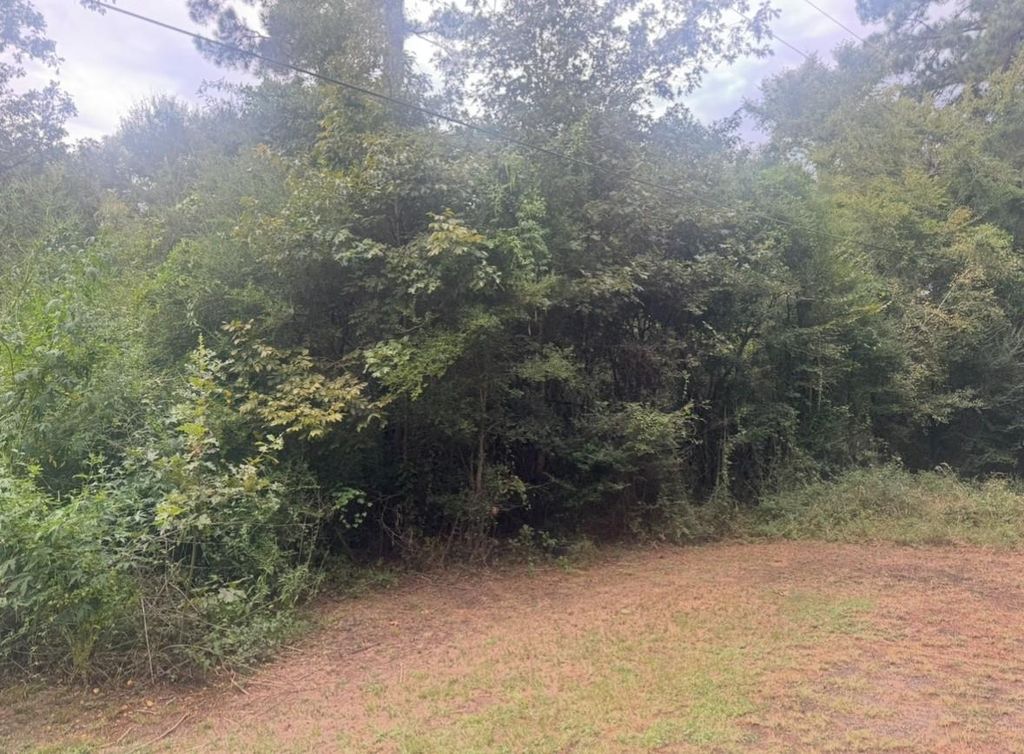 TBD Jill Lane, Livingston, TX 77351