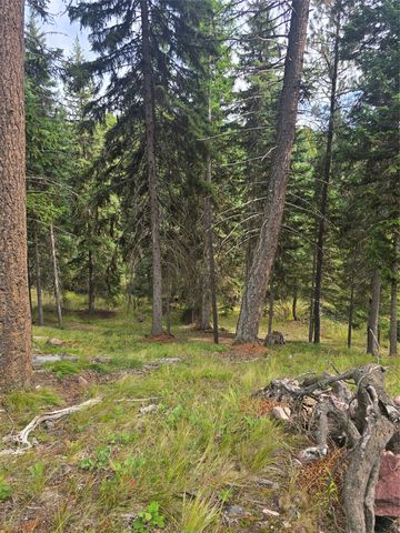 125 Moose Lane, Seeley Lake, MT 59868 property photo