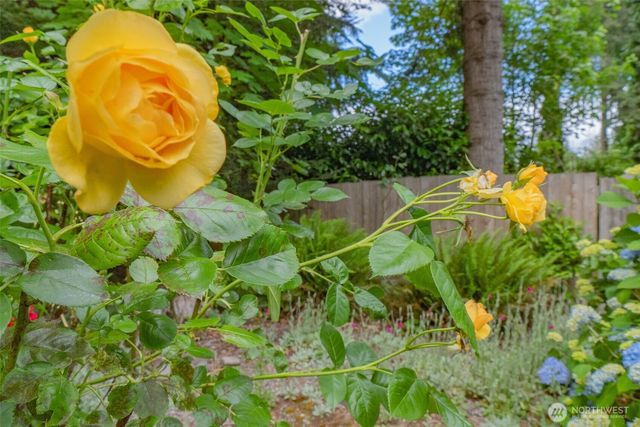 2024 86th Court SW, Olympia, WA 98512