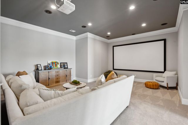 249 Pointe Overlook Drive, Chapin, SC 29036