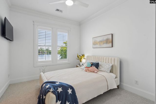 249 Pointe Overlook Drive, Chapin, SC 29036