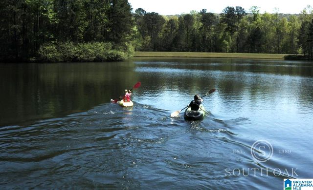 416 SOUTH OAK LANE, Birmingham, AL 35242