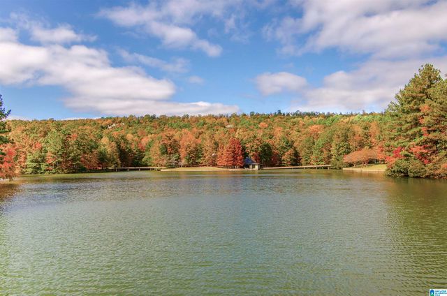 416 SOUTH OAK LANE, Birmingham, AL 35242