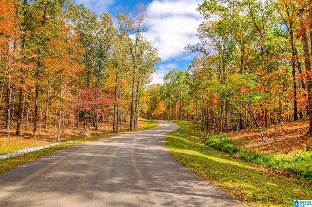 416 SOUTH OAK LANE, Birmingham, AL 35242