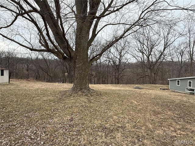 1429 Park Avenue, Hannibal, MO 63401