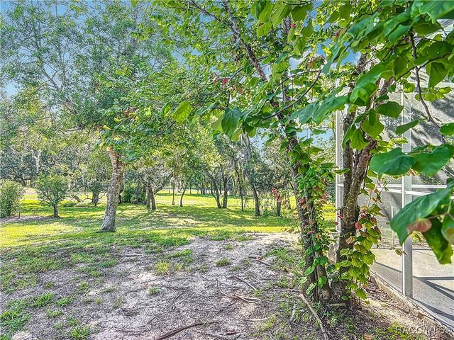 16 Ryewood Circle, Homosassa, FL 34446