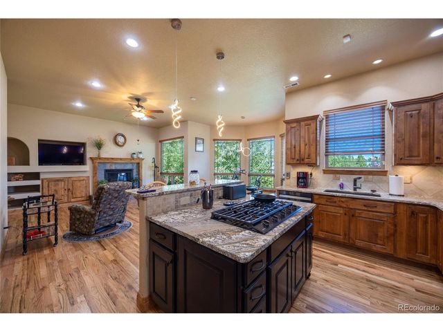 230 Eagle Pines Dr, Woodland Park, CO 80863