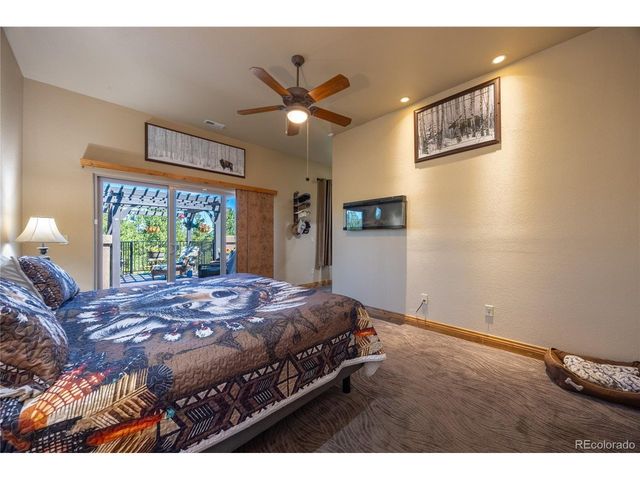 230 Eagle Pines Dr, Woodland Park, CO 80863