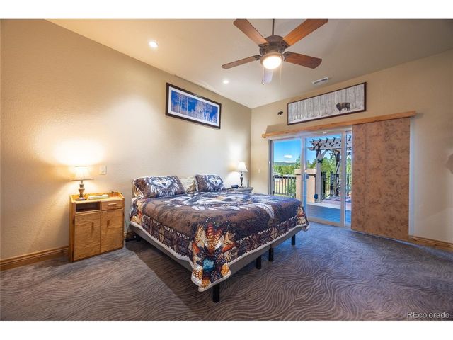 230 Eagle Pines Dr, Woodland Park, CO 80863