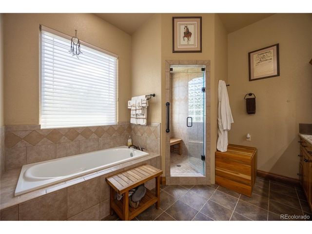 230 Eagle Pines Dr, Woodland Park, CO 80863