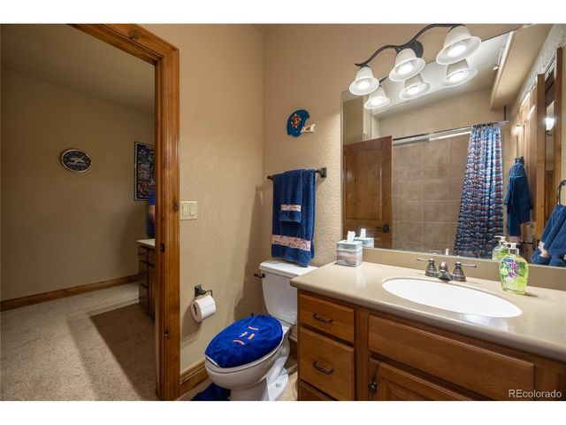 230 Eagle Pines Dr, Woodland Park, CO 80863