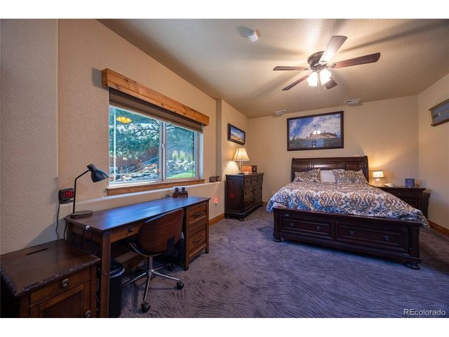 230 Eagle Pines Dr, Woodland Park, CO 80863