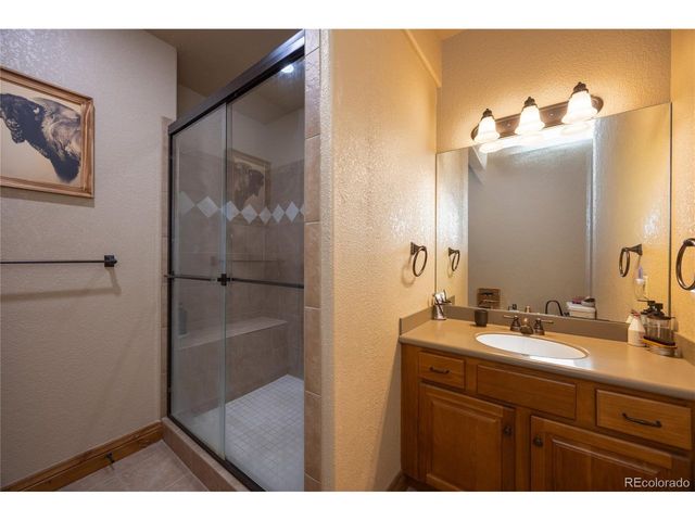 230 Eagle Pines Dr, Woodland Park, CO 80863
